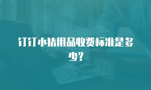 钉钉小猪用品收费标准是多少？