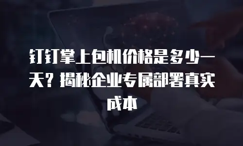 钉钉掌上包机价格是多少一天？揭秘企业专属部署真实成本