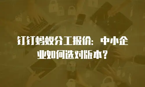 钉钉蚂蚁分工报价：中小企业如何选对版本？