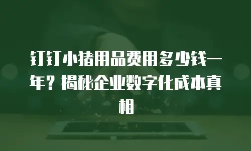 钉钉小猪用品费用多少钱一年？揭秘企业数字化成本真相
