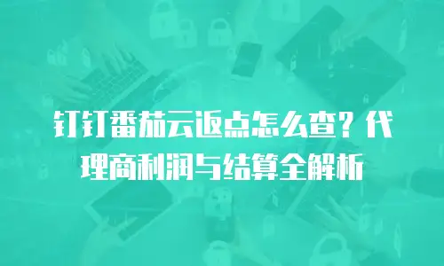 钉钉番茄云返点怎么查？代理商利润与结算全解析