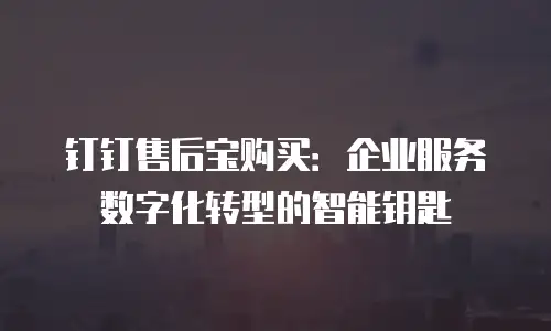 钉钉售后宝购买：企业服务数字化转型的智能钥匙