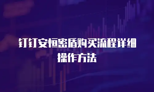 钉钉安恒密盾购买流程详细操作方法