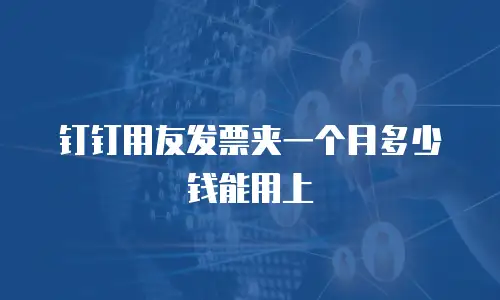 钉钉用友发票夹一个月多少钱能用上