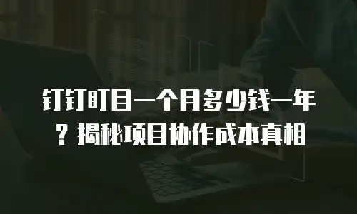 钉钉盯目一个月多少钱一年？揭秘项目协作成本真相