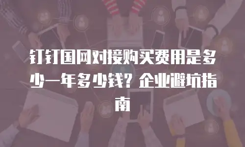 钉钉国网对接购买费用是多少一年多少钱？企业避坑指南