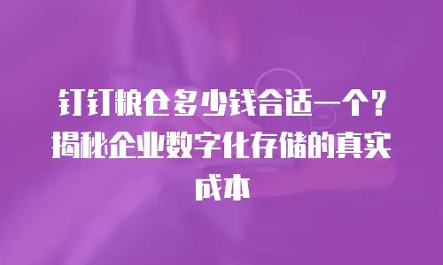 钉钉粮仓多少钱合适一个？揭秘企业数字化存储的真实成本