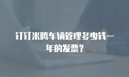 钉钉米腾车辆管理多少钱一年的发票？