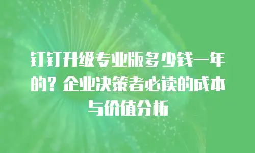 钉钉升级专业版多少钱一年的？企业决策者必读的成本与价值分析