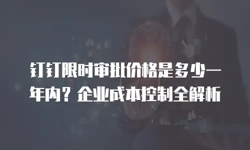 钉钉限时审批价格是多少一年内？企业成本控制全解析
