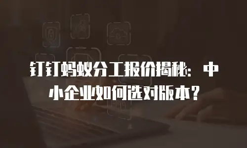 钉钉蚂蚁分工报价揭秘：中小企业如何选对版本？