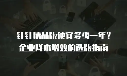 钉钉精品版便宜多少一年？企业降本增效的选版指南