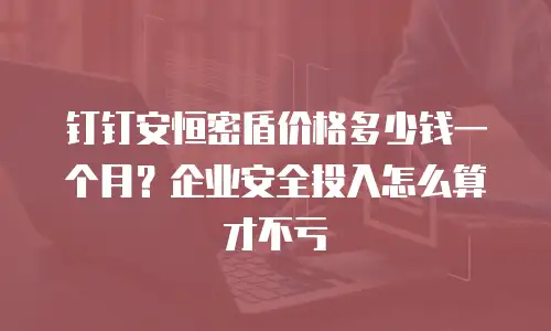 钉钉安恒密盾价格多少钱一个月？企业安全投入怎么算才不亏