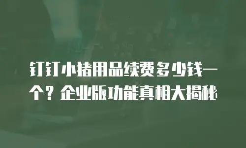 钉钉小猪用品续费多少钱一个？企业版功能真相大揭秘