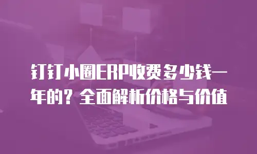 钉钉小圈ERP收费多少钱一年的？全面解析价格与价值
