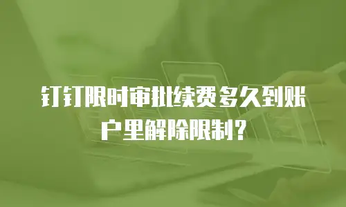 钉钉限时审批续费多久到账户里解除限制？