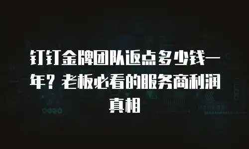 钉钉金牌团队返点多少钱一年？老板必看的服务商利润真相
