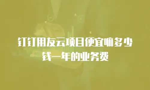 钉钉用友云项目便宜嘛多少钱一年的业务费