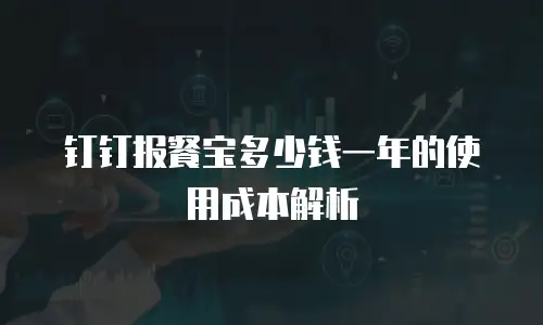 钉钉报餐宝多少钱一年的使用成本解析