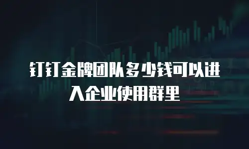 钉钉金牌团队多少钱可以进入企业使用群里