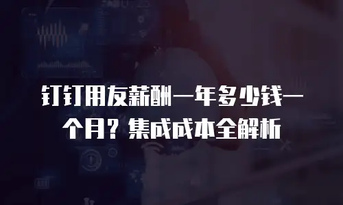 钉钉用友薪酬一年多少钱一个月？集成成本全解析