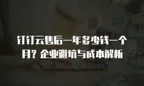 钉钉云售后一年多少钱一个月？企业避坑与成本解析