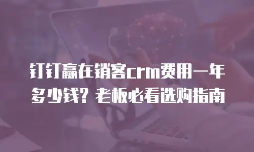 钉钉赢在销客crm费用一年多少钱？老板必看选购指南