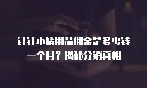 钉钉小猪用品佣金是多少钱一个月？揭秘分销真相