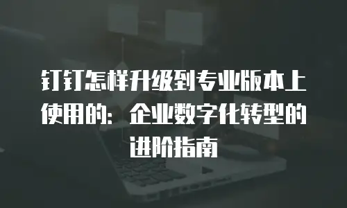 钉钉怎样升级到专业版本上使用的：企业数字化转型的进阶指南