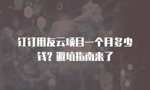 钉钉用友云项目一个月多少钱？避坑指南来了