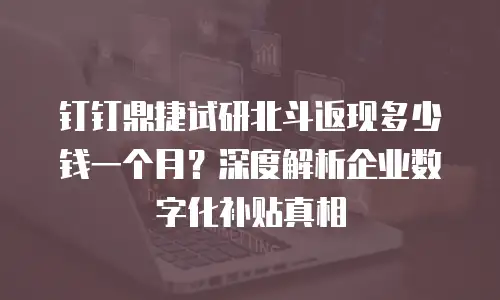 钉钉鼎捷试研北斗返现多少钱一个月？深度解析企业数字化补贴真相
