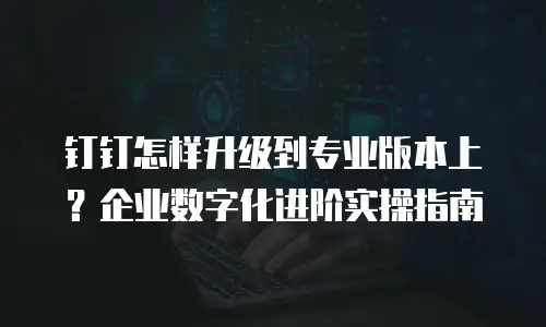 钉钉怎样升级到专业版本上？企业数字化进阶实操指南