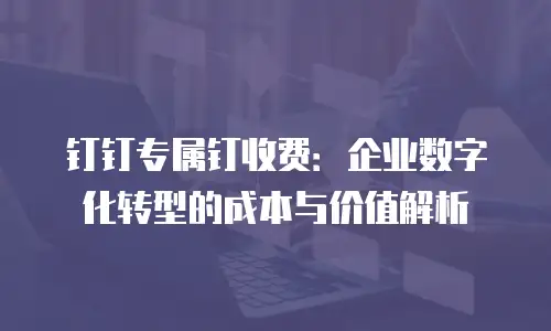 钉钉专属钉收费：企业数字化转型的成本与价值解析