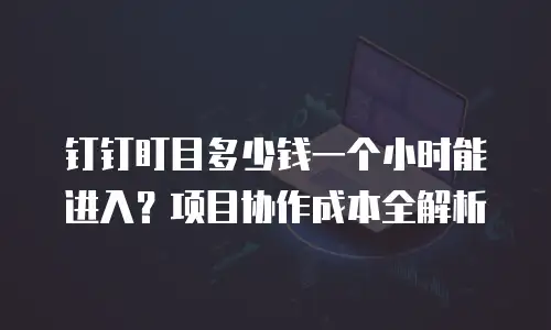 钉钉盯目多少钱一个小时能进入？项目协作成本全解析
