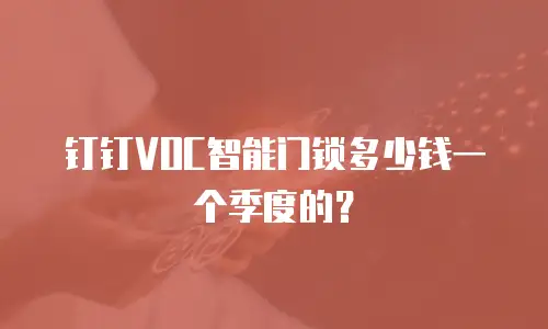 钉钉VOC智能门锁多少钱一个季度的？
