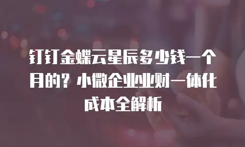 钉钉金蝶云星辰多少钱一个月的？小微企业业财一体化成本全解析