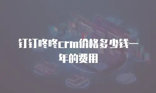 钉钉咚咚crm价格多少钱一年的费用