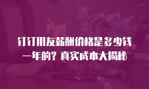 钉钉用友薪酬价格是多少钱一年的？真实成本大揭秘
