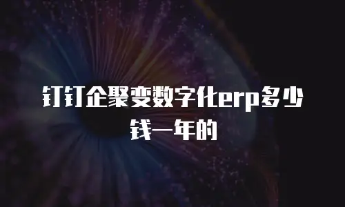 钉钉企聚变数字化erp多少钱一年的
