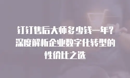钉钉售后大师多少钱一年？深度解析企业数字化转型的性价比之选