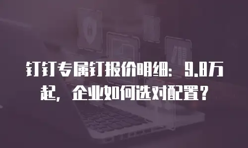 钉钉专属钉报价明细：9.8万起，企业如何选对配置？