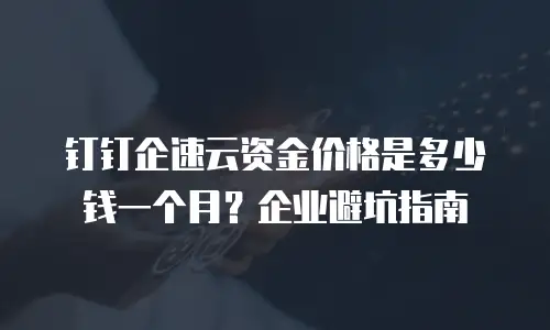 钉钉企速云资金价格是多少钱一个月？企业避坑指南