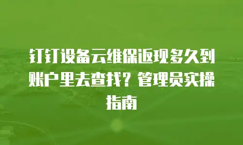 钉钉设备云维保返现多久到账户里去查找？管理员实操指南