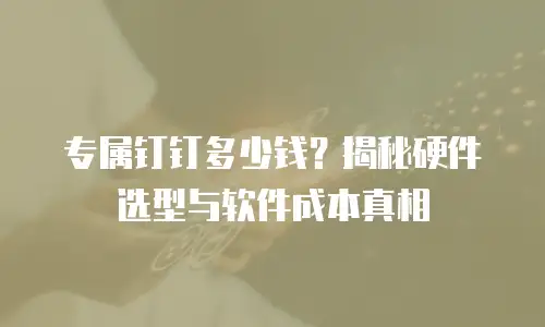 专属钉钉多少钱？揭秘硬件选型与软件成本真相