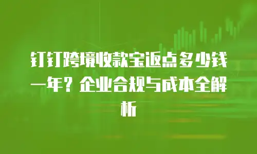 钉钉跨境收款宝返点多少钱一年？企业合规与成本全解析