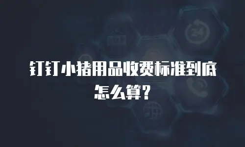 钉钉小猪用品收费标准到底怎么算？