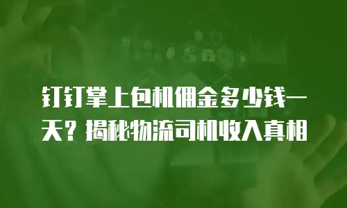 钉钉掌上包机佣金多少钱一天？揭秘物流司机收入真相