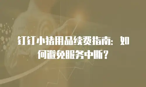 钉钉小猪用品续费指南：如何避免服务中断？