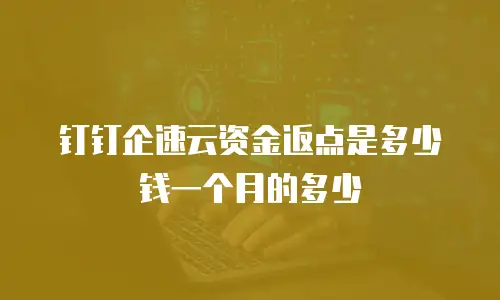 钉钉企速云资金返点是多少钱一个月的多少