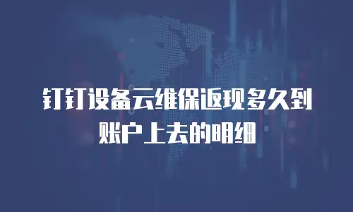 钉钉设备云维保返现多久到账户上去的明细